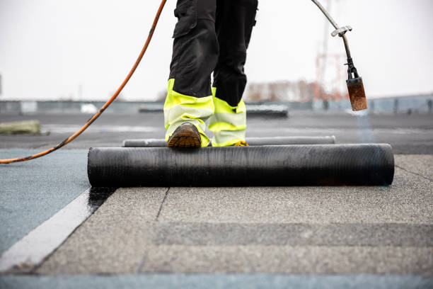 Best Roof Insulation Installation  in Eudora, KS